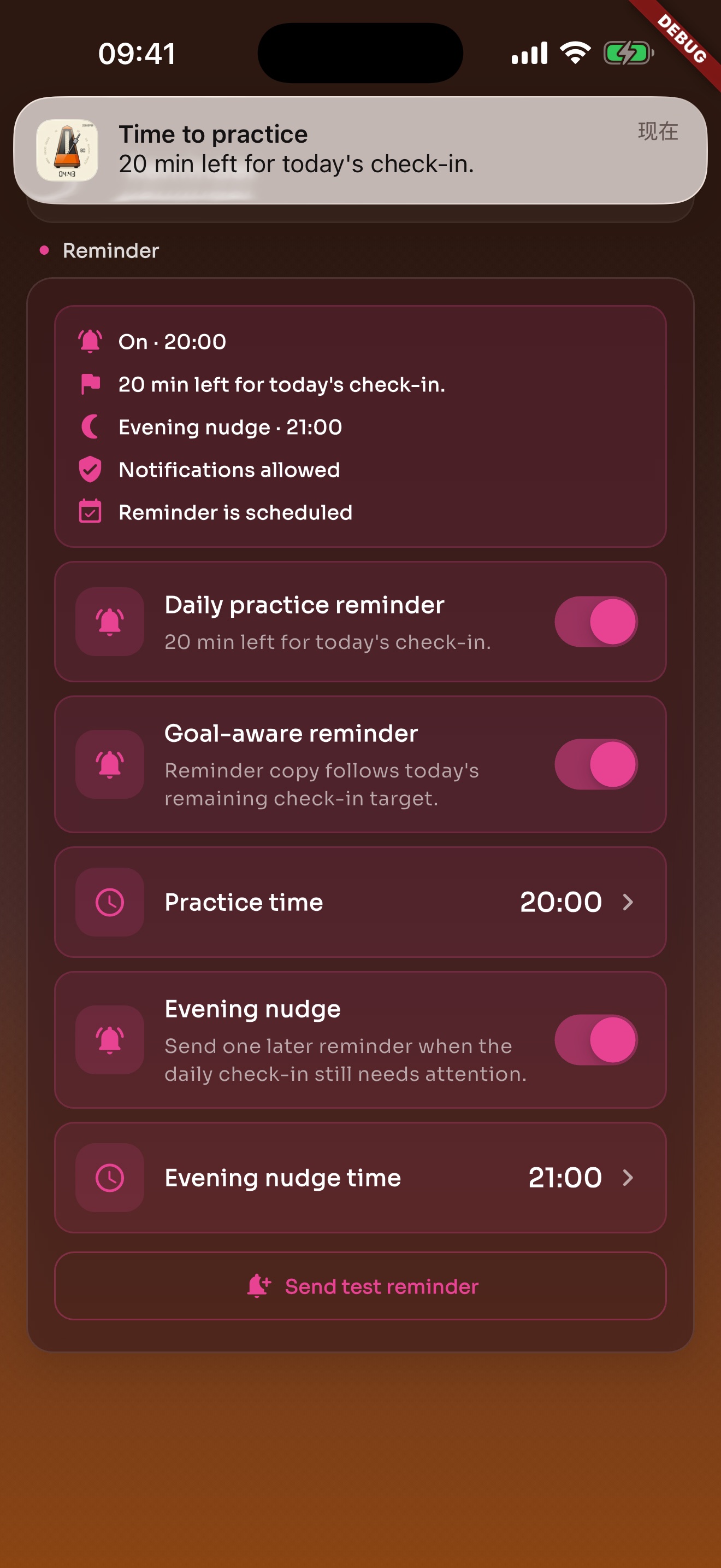 TickStudio reminder screen for configuring daily practice notifications